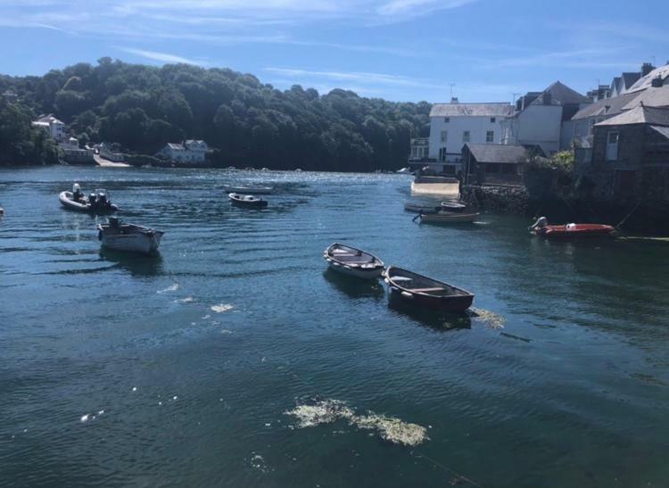 Ferienwohnung Fowey Landing Exterior foto